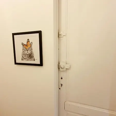 Superbe De 50m2 Apartment
